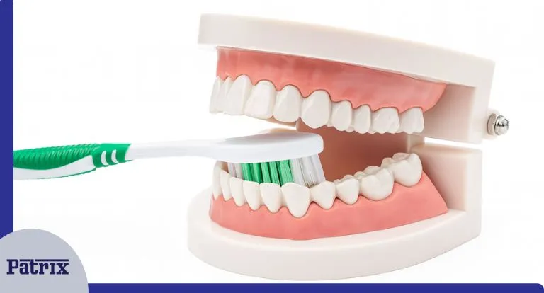 انواع مسواک برای دندان مصنوعی